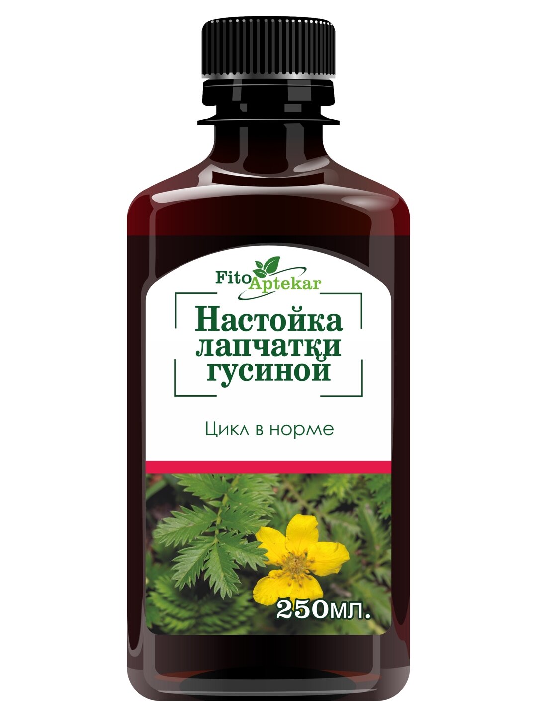 Настойка лапчатки гусиной 250 мл ФитоАптекарь производство Алтай