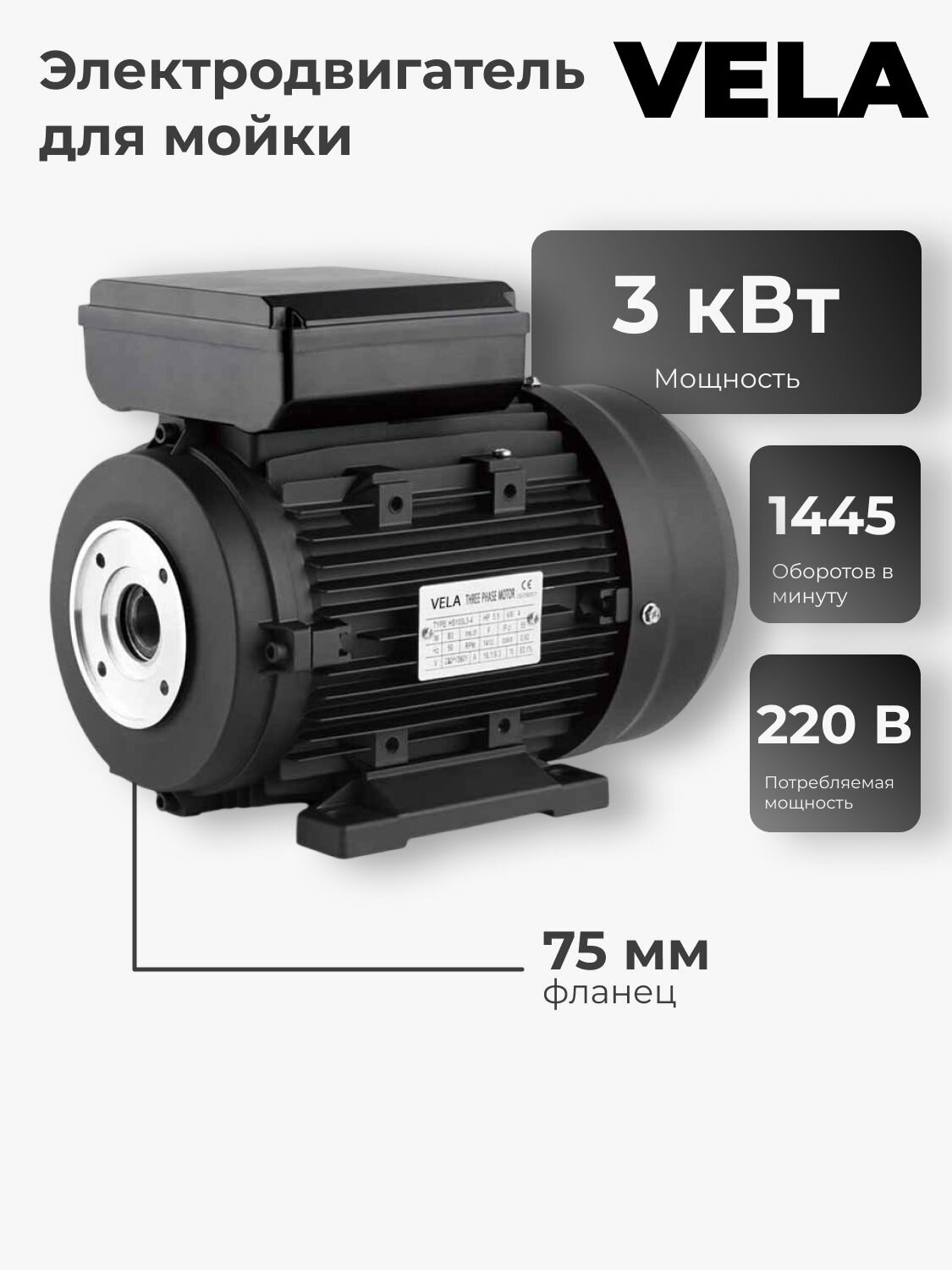 Электродвигатель для мойки VELA 3 кВт (230 В) фланец 75 мм
