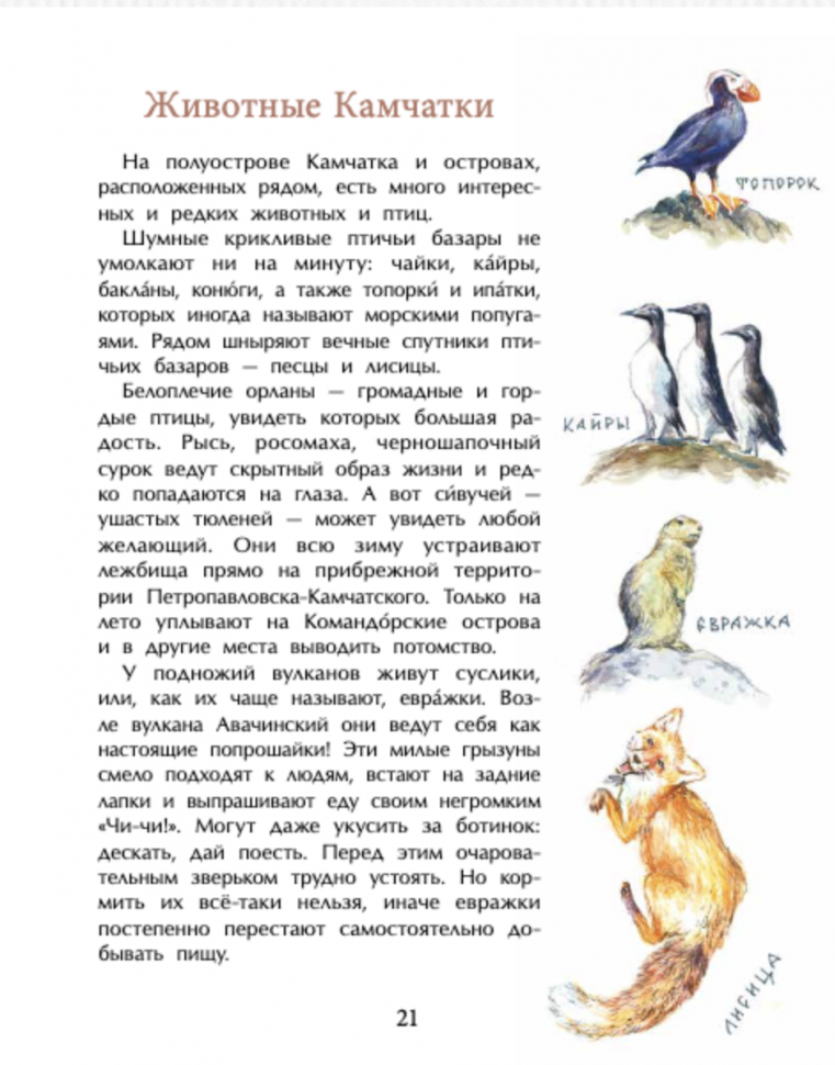 Камчатка. Снежная и огненная (Кудряшова Анастасия Юрьевна) - фото №8