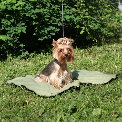 Охлаждающий коврик для собак р-р 50*70 см