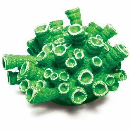 Коралл искусственный "Эусмилия" зеленая 95*95*55мм