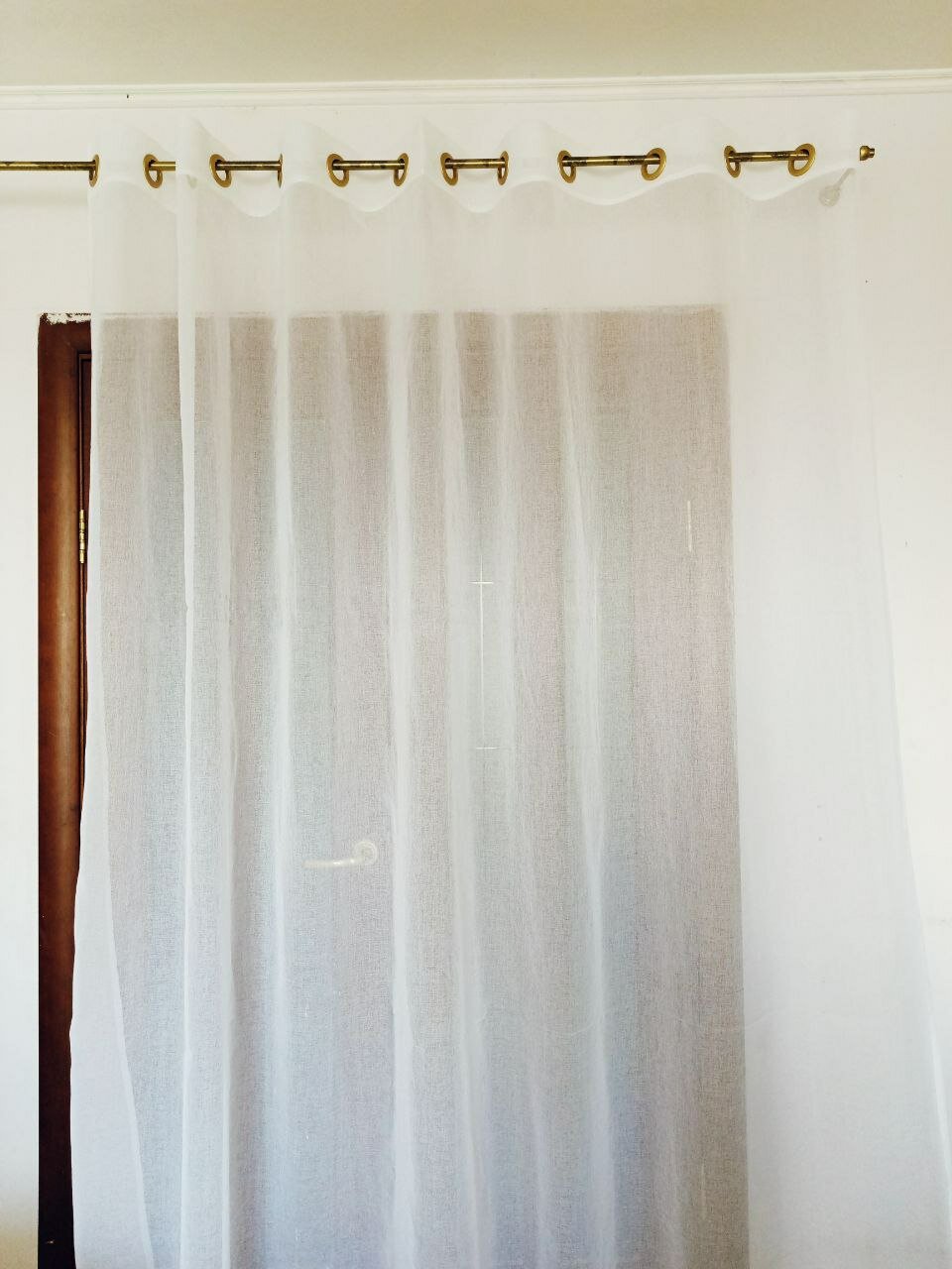 фото Лен золотые люв