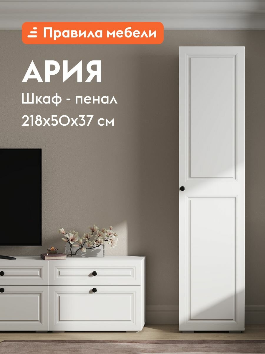 Шкаф-пенал распашной для одежды и хранения вещей Ария с полками, 50.2х37.2х217.6 см, Белый