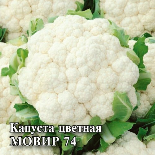 капуста цветная мовир 74 семена гавриш Семена Капуста цветная Мовир 74, 10г, Гавриш, Фермерское подворье