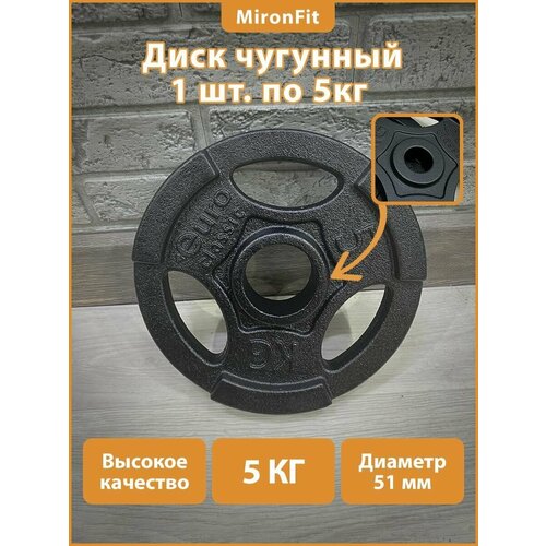 Блин для штанги / Диск для грифа чугунный / рекорд D51 мм 5 кг. 1 шт.