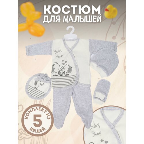 Комплект одежды   для девочек, ползунки и нагрудник и чепчик и рубашка и рукавицы, повседневный стиль, размер 56-62, серый
