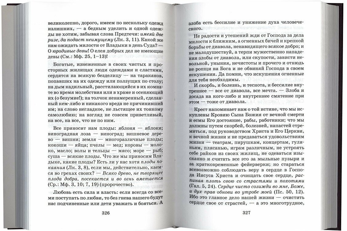 Иоанн Кронштадтский. Творения. Дневник. Том 6. 1864, август-декабрь. Спасение души. О скорбях и искушениях