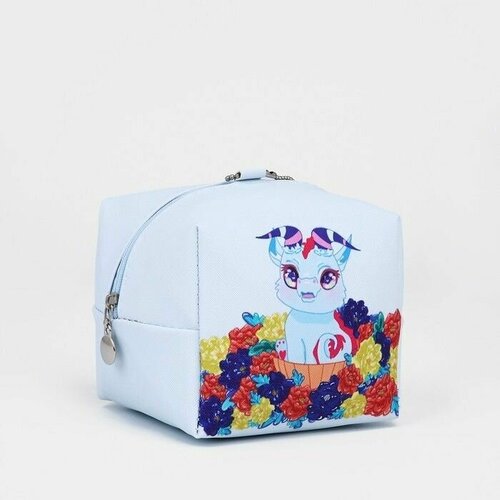 фото Косметичка голубой made in china