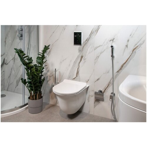 Унитаз подвесной, безободковый ONS-WHT-10953BIUFSM