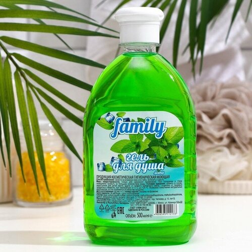Гель для душа FAMILY Мята 500 мл флип-топ 3 штуки 404₽