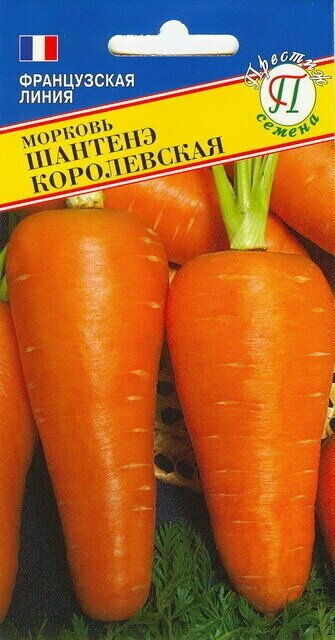 Морковь Шантенэ Королевская. Семена. Среднеспелый сорт. Корнеплоды конической формы выровненные длиной 15-20 см массой до 200 гр.