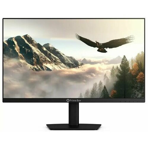 238 Монитор Prime Box EAGLE M24 HVIB Box EAGLE M24 HVIB черный 1361100₽