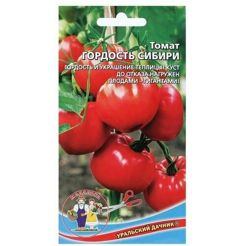 Семена Томат Уральский дачник, Гордость Сибири, 20 шт 10 упаковок семена томат уральский дачник 20 шт