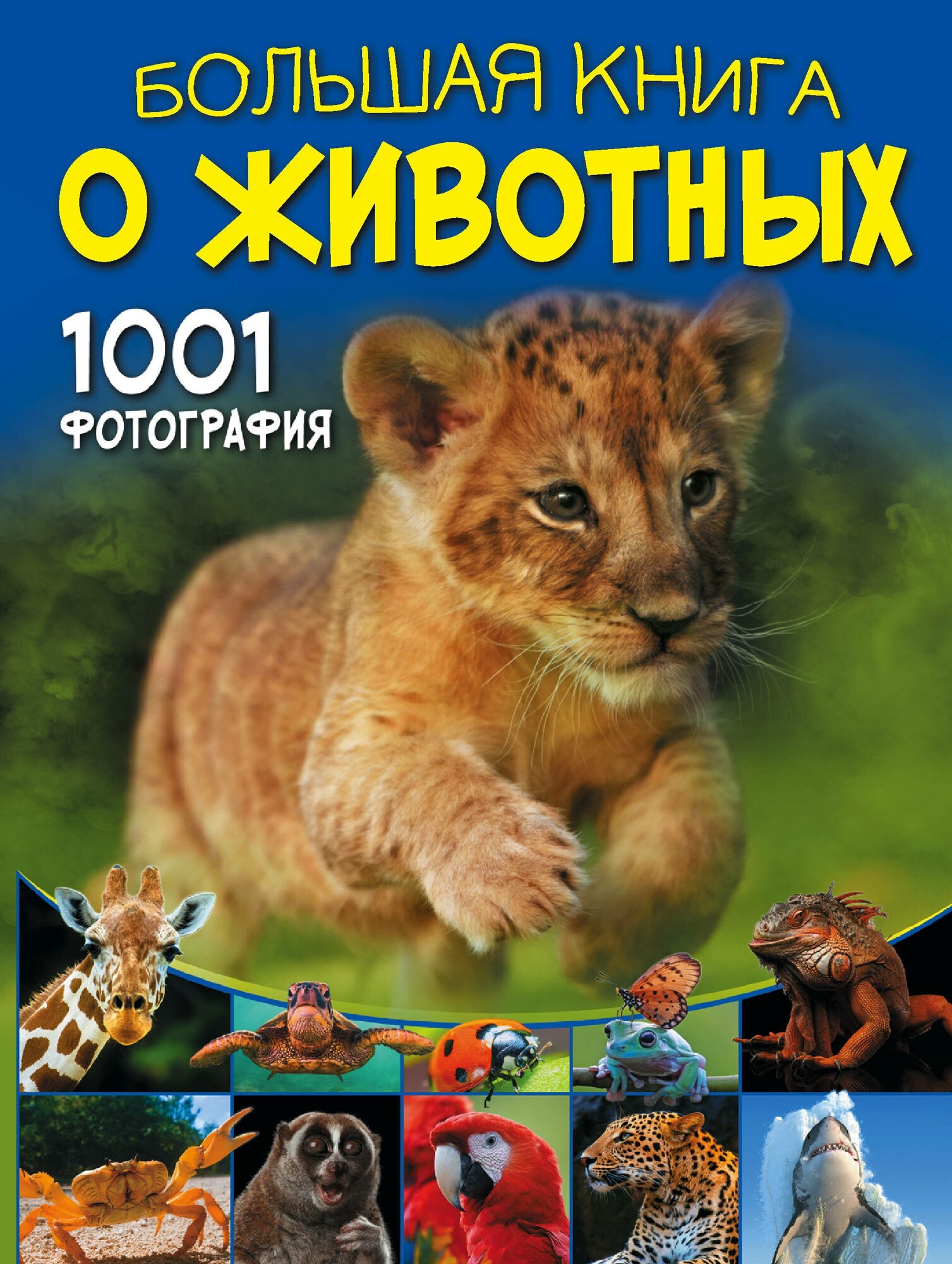 Большая книга о животных. 1001 фотография Ермакович Д. И.