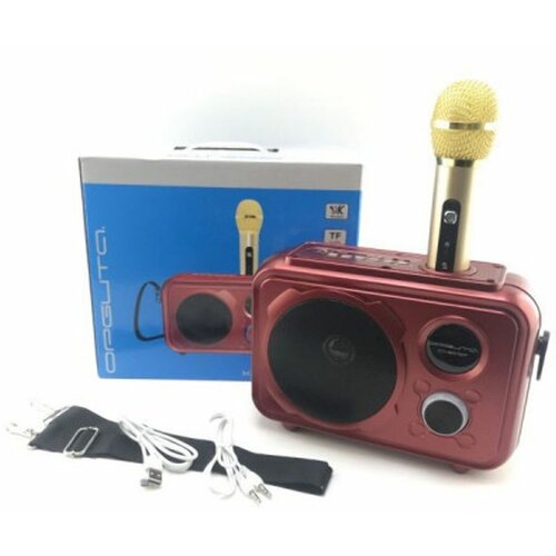 Портативная колонка караоке Орбита OT-ERM07 424500₽