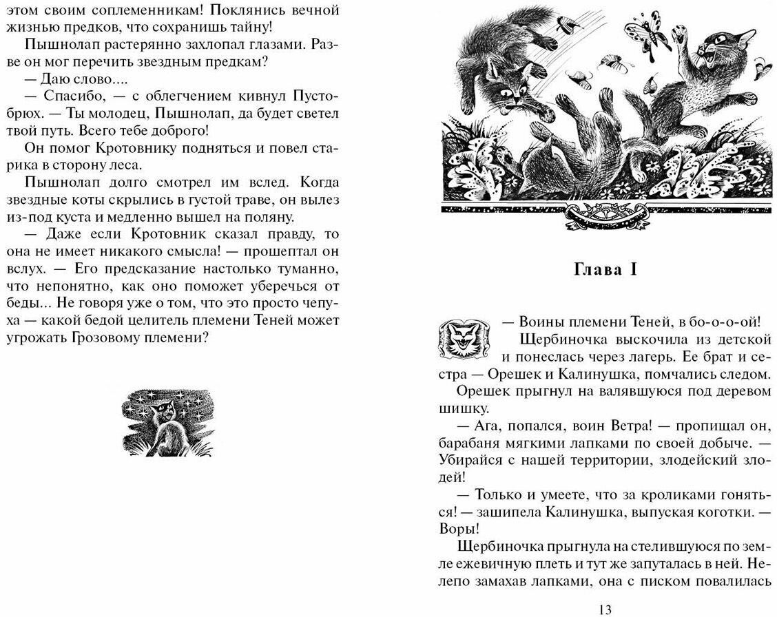 Книга Тайна Щербатой. Книга 1. Предназначение - фото №3