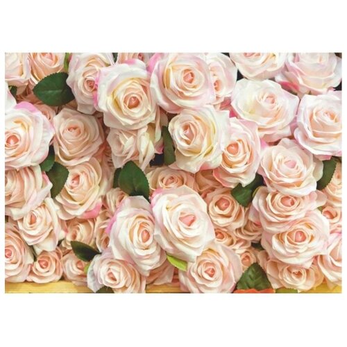 фотообои b 013 bellissimo роскошные розы 8 листов 2800х2000мм Фотообои B-013 Bellissimo Роскошные розы, 8 листов 2800х2000мм