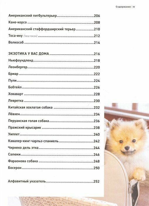 Все породы собак. Большая иллюстрированная энциклопедия - фото №14