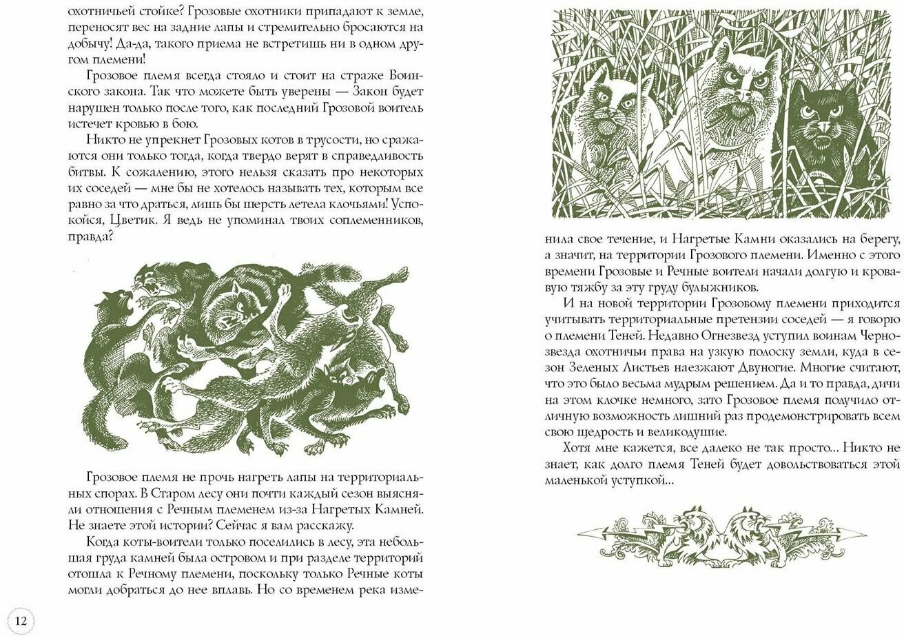 Книга Герои племен Хантер Э. (Хантер Эрин) - фото №7