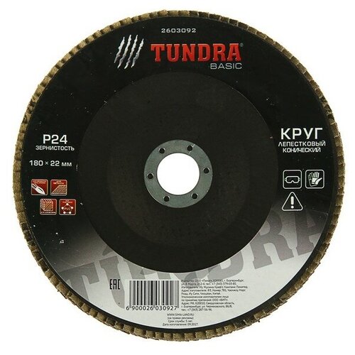 Лепестковый диск Тундра 2603092, 1 шт.