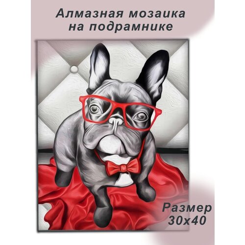 Алмазная мозаика 