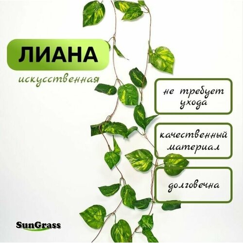 Лиана Диффенбахия искусственная - 5 шт