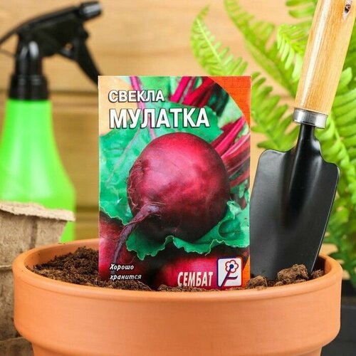 Семена Свекла Мулатка, 2 г 14 упаковок семена свекла мулатка 2 гр урожай удачи