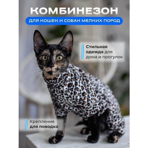 Комбинезон для кошек