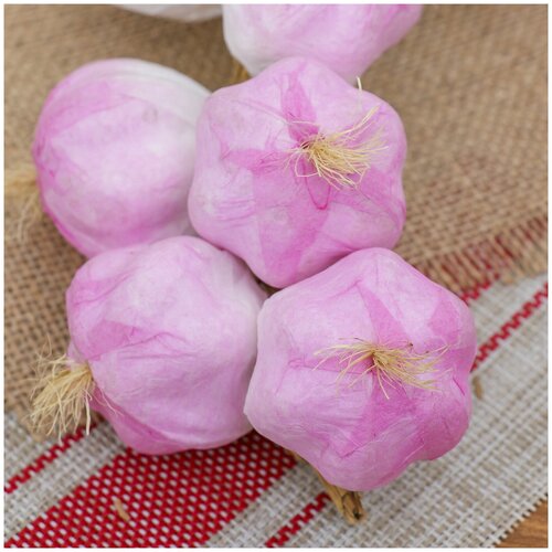 Муляж связка чеснока 40 см 12 головок