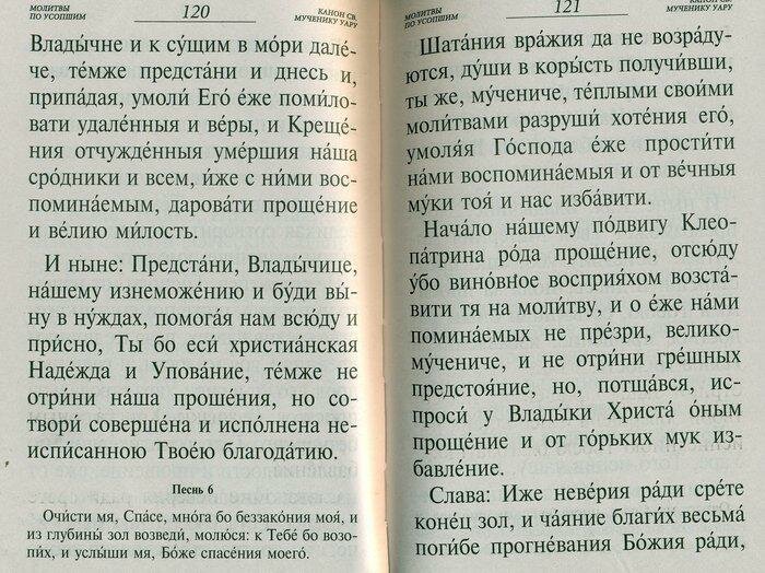 Псалтирь и каноны по усопшим для слабовидящих - фото №7