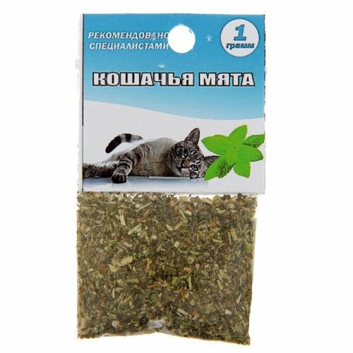 Кошачья мята, 1 г, 10 штук трава для кошек лакомство витамины для кошек 5 штук