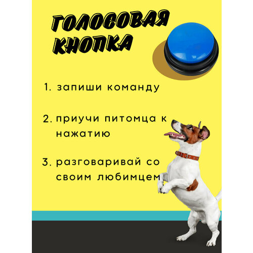 Кнопка для дрессировки собаки и кошки / кликер для питомца, запись голоса и лакомство, для домашних животных, умная собака / синяя