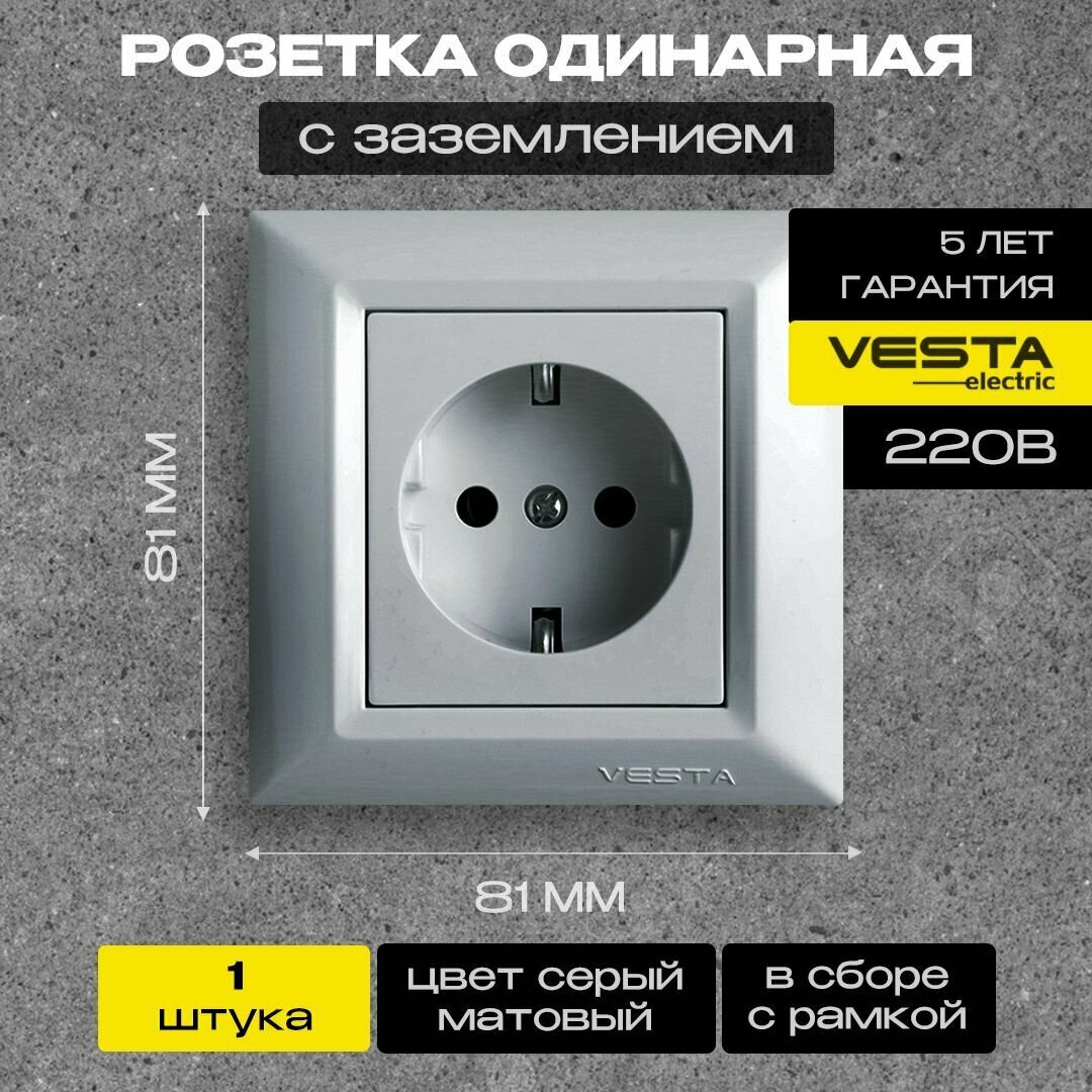 фото Розетка Vesta-Electric Roma Silver одинарная с заземлением