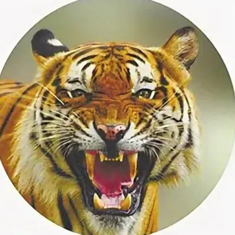 фото Чехол запасного колеса Тигр R16,17 SKYWAY эко-кожа