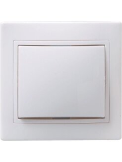 фото Беларусь Выключатель одноклавишный скрытый IP44 С1 10-874