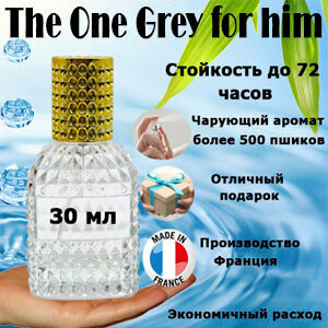 Масляные духи The One Grey for him, мужской аромат, 30 мл.