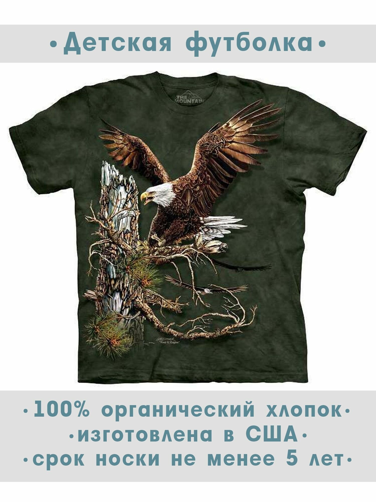 Футболка детская The Mountain "Find 12 Eagles"