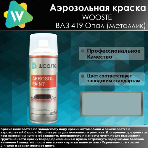 Автомобильная аэрозольная краска WOOSTE 419 Опал