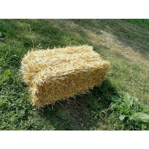 Солома из Первухино 17 кг в тюке качество достойное 2255₽