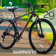 Велосипед горный взрослый 29" FOXX CAIMAN 21 скорость черный, рама 18" на рост 165-178 см, скоростной спортивный хардтейл для мужчин и женщин