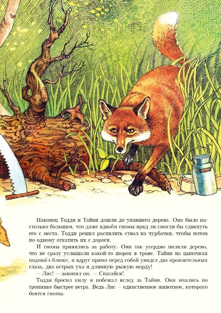 Тодди и лис (Пейшнс Джон) - фото №2