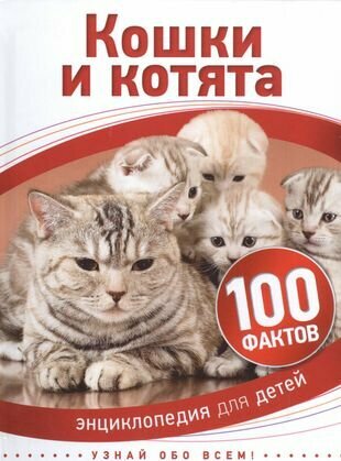 Кошки и котята