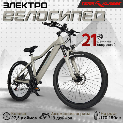 Электровелосипед Team Klasse C-2-D серый 6699900₽