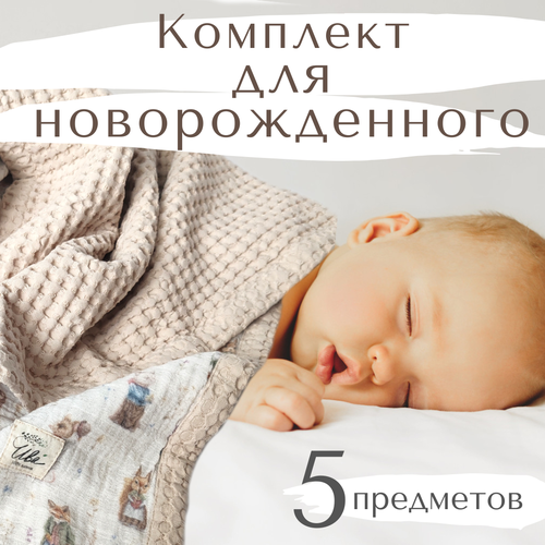 Подарочный набор для новорожденного ИВА Мистер Мышонок из 5 предметов 0-12 месяцев ива хакуро нишики