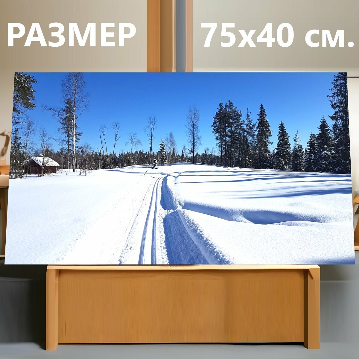 Картина на холсте "Лыжные гонки, снег, зима" на подрамнике 75х40 см. для интерьера