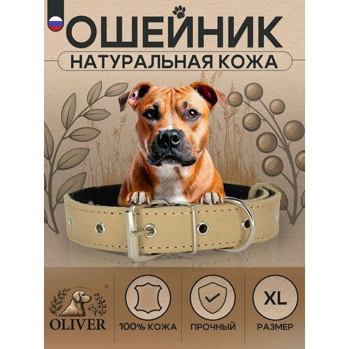 Ошейник для собак Oliver из натуральной кожи на мягкой подкладке из синтепона / XL / Бежевый
