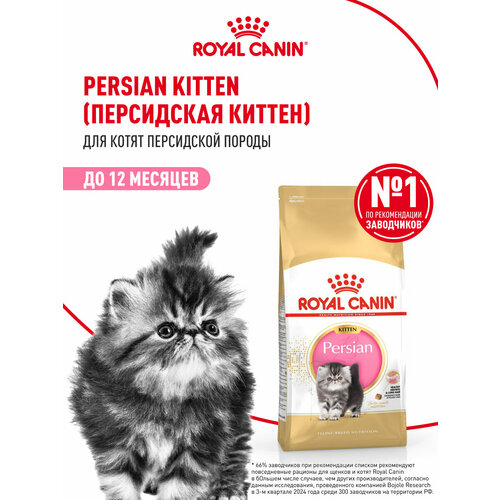 Корм для кошек Royal Canin Persian Kitten (Персиан Киттен) Корм сухой сбалансированный для персидских котят, 0,4 кг