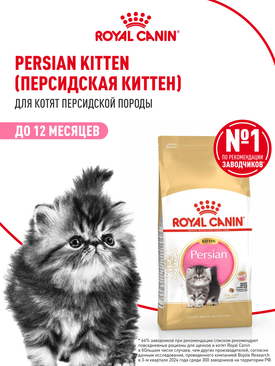 Сухой корм для котят Royal Canin Kitten для персидской породы, 0,4 кг