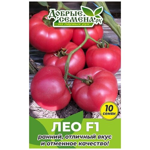 Семена томата Лео F1 - 10 шт - Добрые Семена. ру