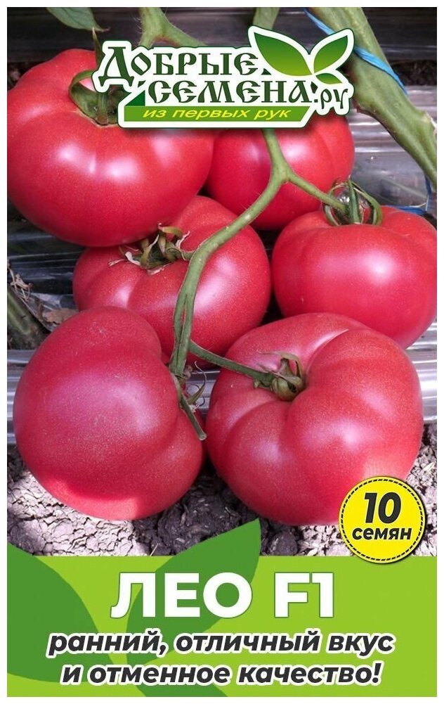 Семена томата Лео F1   10 шт   Добрые Семена  ру